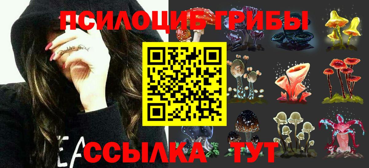 Галлюциногенные грибы GOLDEN TEACHER Сосновоборск